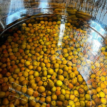 Load image into Gallery viewer, Umeshu (limited edition)